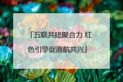 五联共建聚合力 红色引擎促港航共兴