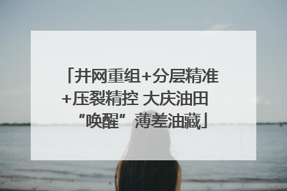 井网重组+分层精准+压裂精控 大庆油田“唤醒”薄差油藏