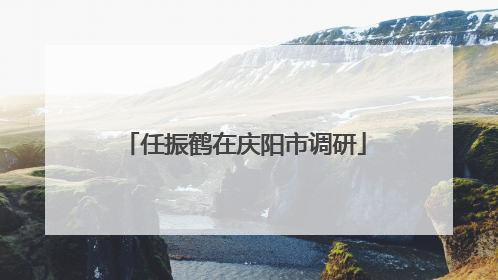 任振鹤在庆阳市调研