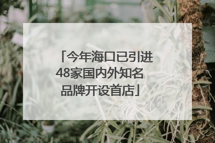 今年海口已引进48家国内外知名品牌开设首店