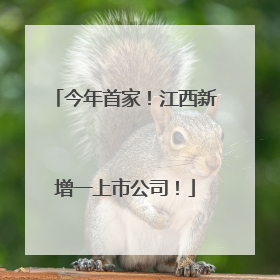 今年首家！江西新增一上市公司！