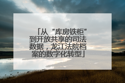 从“库房铁柜”到开放共享的司法数据，龙江法院档案的数字化转型