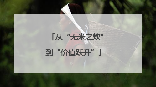 从“无米之炊”到“价值跃升”