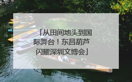 从田间地头到国际舞台！东昌葫芦闪耀深圳文博会