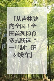 从吉林驶向全国！全国首列粮食多式联运“一单制”班列发车