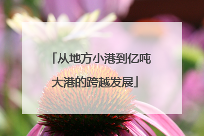 从地方小港到亿吨大港的跨越发展