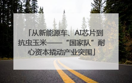 从新能源车、AI芯片到抗虫玉米——“国家队”耐心资本撬动产业突围