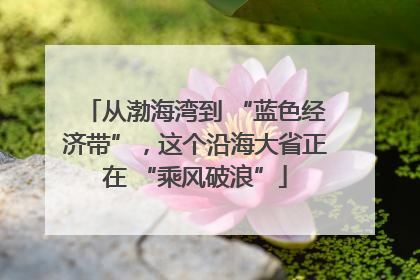 从渤海湾到 “蓝色经济带”，这个沿海大省正在 “乘风破浪”