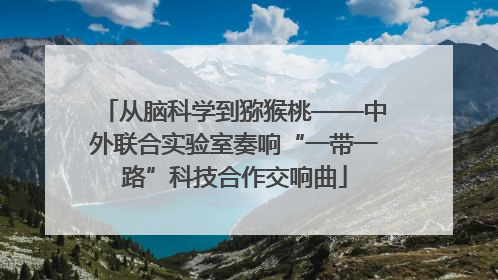 从脑科学到猕猴桃——中外联合实验室奏响“一带一路”科技合作交响曲
