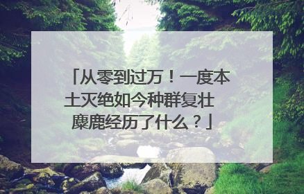 从零到过万！一度本土灭绝如今种群复壮 麋鹿经历了什么？