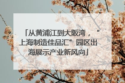 从黄浦江到大阪湾，“上海制造佳品汇”园区出海展示产业新风向