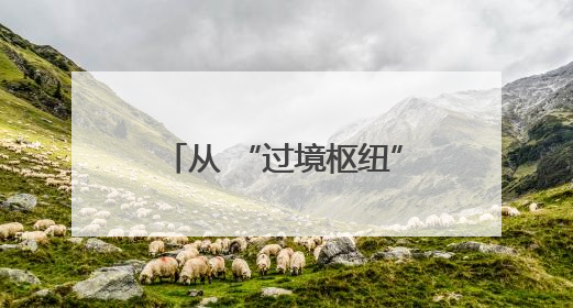 从 “过境枢纽” 到 “圈级地标”：资阳方特如何撬动文旅融合新能级？