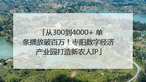 从300到4000+ 单条播放破百万！枣阳数字经济产业园打造新农人IP