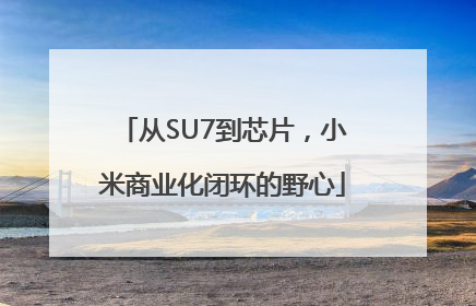 从SU7到芯片，小米商业化闭环的野心