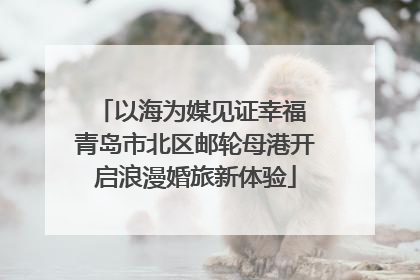 以海为媒见证幸福 青岛市北区邮轮母港开启浪漫婚旅新体验