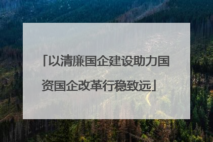 以清廉国企建设助力国资国企改革行稳致远