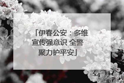 伊春公安：多维宣传强意识 全警聚力护平安
