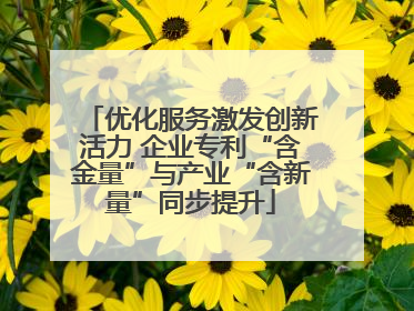 优化服务激发创新活力 企业专利“含金量”与产业“含新量”同步提升