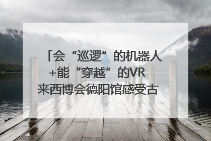 会“巡逻”的机器人+能“穿越”的VR 来西博会德阳馆感受古蜀文明与现代智造的时空对话｜西博视界