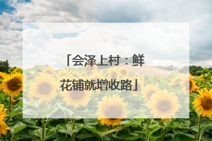 会泽上村：鲜花铺就增收路