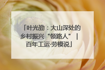 叶光勤：大山深处的乡村振兴“领路人”｜百年工运·劳模说