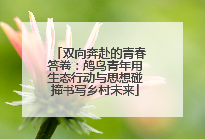 双向奔赴的青春答卷：鸬鸟青年用生态行动与思想碰撞书写乡村未来