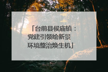 台前县侯庙镇：党建引领绘新景 环境整治焕生机
