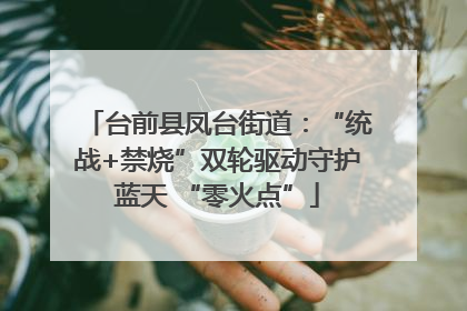 台前县凤台街道：“统战+禁烧”双轮驱动守护蓝天 “零火点”