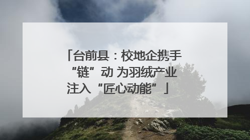 台前县：校地企携手“链”动 为羽绒产业注入“匠心动能”