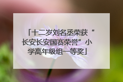 十二岁刘名丞荣获“长安长安国赛荣誉”小学高年级组一等奖