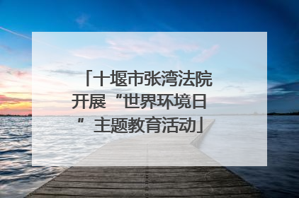 十堰市张湾法院开展“世界环境日”主题教育活动