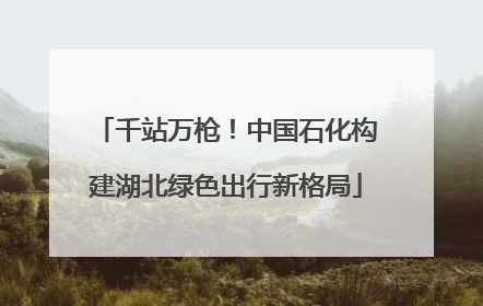 千站万枪！中国石化构建湖北绿色出行新格局