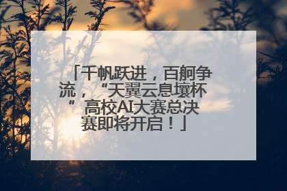 千帆跃进，百舸争流，“天翼云息壤杯”高校AI大赛总决赛即将开启！