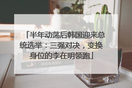 半年动荡后韩国迎来总统选举：三强对决，变换身位的李在明领跑