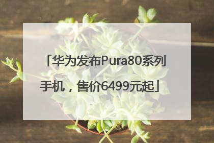 华为发布Pura80系列手机，售价6499元起