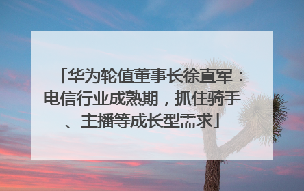 华为轮值董事长徐直军：电信行业成熟期，抓住骑手、主播等成长型需求