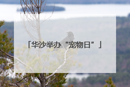 华沙举办“宠物日”