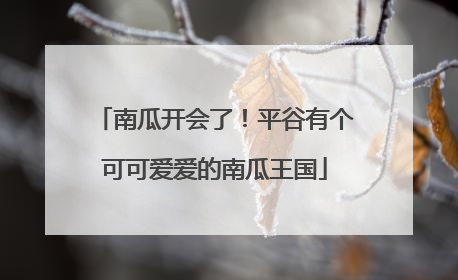 南瓜开会了！平谷有个可可爱爱的南瓜王国