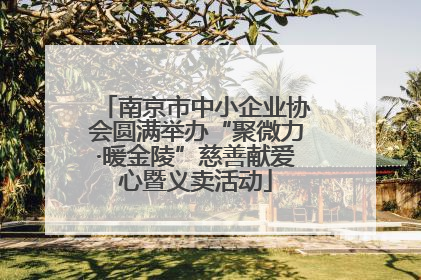 南京市中小企业协会圆满举办“聚微力·暖金陵”慈善献爱心暨义卖活动