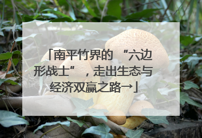 南平竹界的 “六边形战士”，走出生态与经济双赢之路→