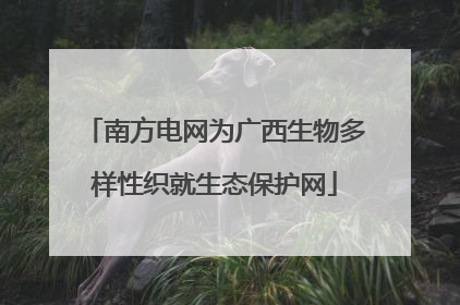 南方电网为广西生物多样性织就生态保护网