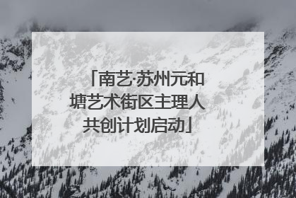 南艺·苏州元和塘艺术街区主理人共创计划启动