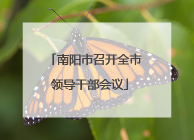 南阳市召开全市领导干部会议
