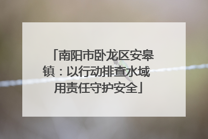 南阳市卧龙区安皋镇：以行动排查水域 用责任守护安全
