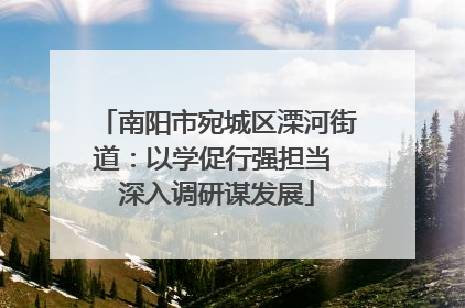 南阳市宛城区溧河街道：以学促行强担当 深入调研谋发展