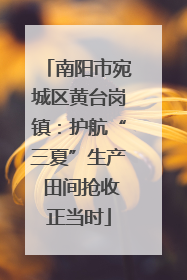 南阳市宛城区黄台岗镇：护航“三夏”生产 田间抢收正当时
