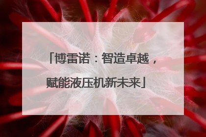 博雷诺：智造卓越，赋能液压机新未来