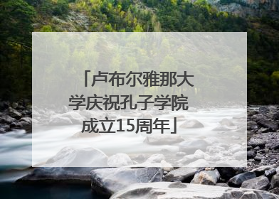 卢布尔雅那大学庆祝孔子学院成立15周年