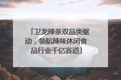 卫龙辣条双品类驱动，领航辣味休闲食品行业千亿赛道