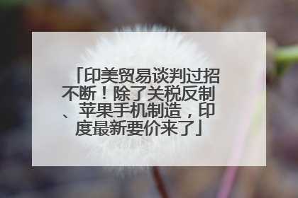 印美贸易谈判过招不断！除了关税反制、苹果手机制造，印度最新要价来了